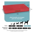 thumbnail image 3 of Cama Antiestrés de Foam para Perro Grande y Gato, Colchoneta Lavable Esquima (Rojo, 95x65 cm), 3 of 6