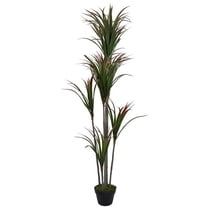 67 in. Green & Red Artificial Dracaena Marginata Potted Plant
