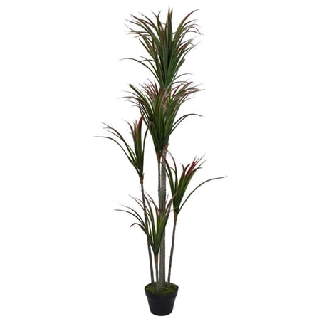 67 in. Green & Red Artificial Dracaena Marginata Potted Plant