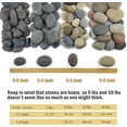 10 lbs River Rocks, 2-3 Inch Pebbles for , Landscaping, Garden ...