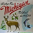 thumbnail image 4 of STEVENS, SUFJAN ILLINOIS (2LP) (LP/Vinyl), 4 of 6