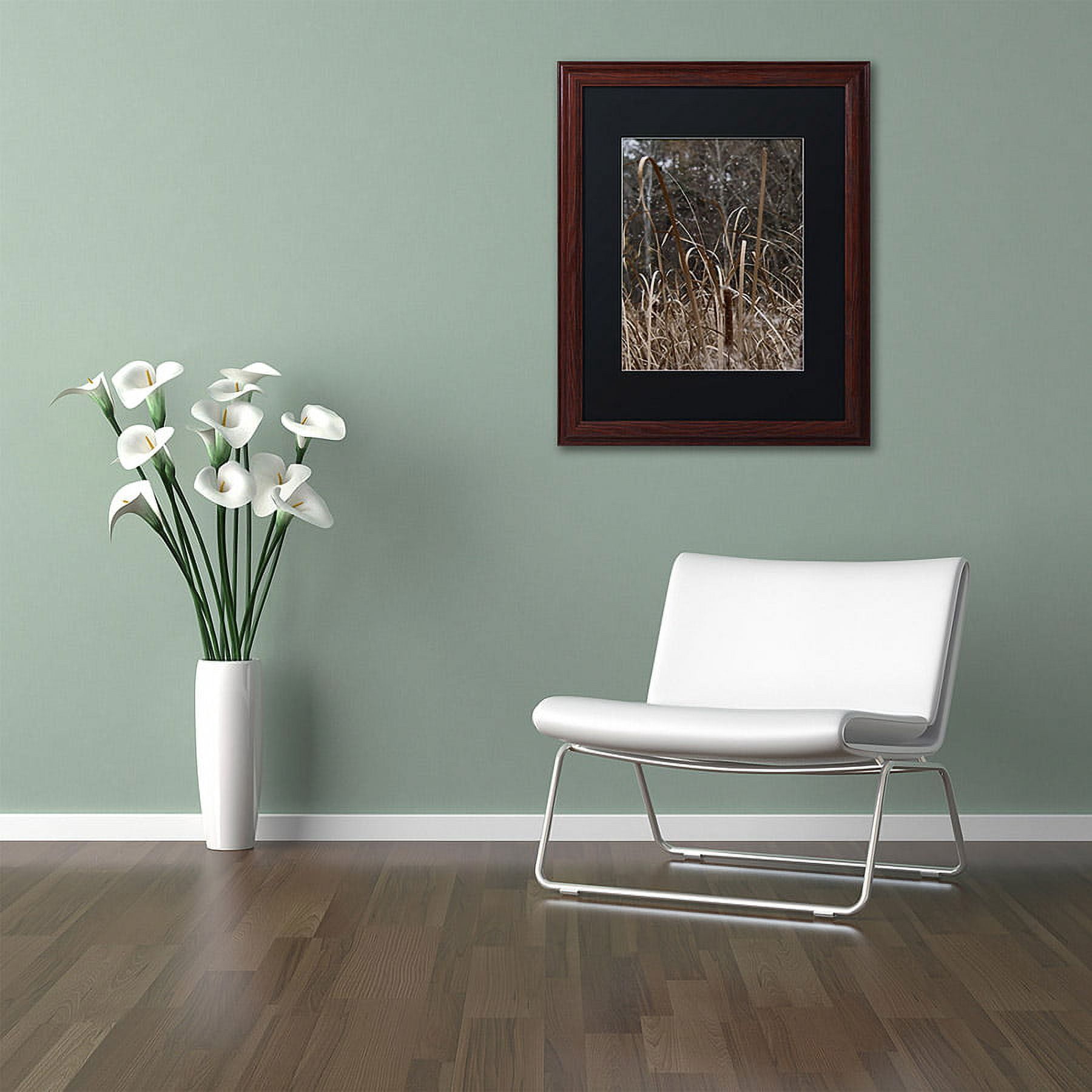 Trademark Fine Art "Cattail Seeds in Flight" Canvas Art by Kurt Shaffer, Black Matte, Wood Frame