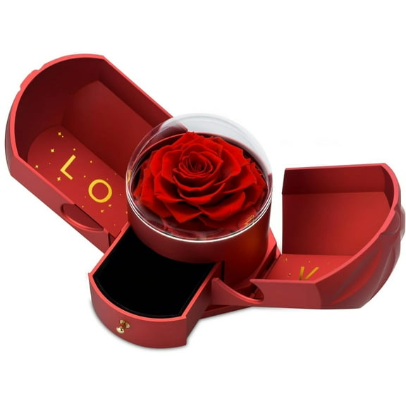 Preserved Red Rose Jewelry Box, Transparent Display Dome, Drawer Storage for Necklace Ring Earring, Romantic Present Package Case for Valentine Anniversary