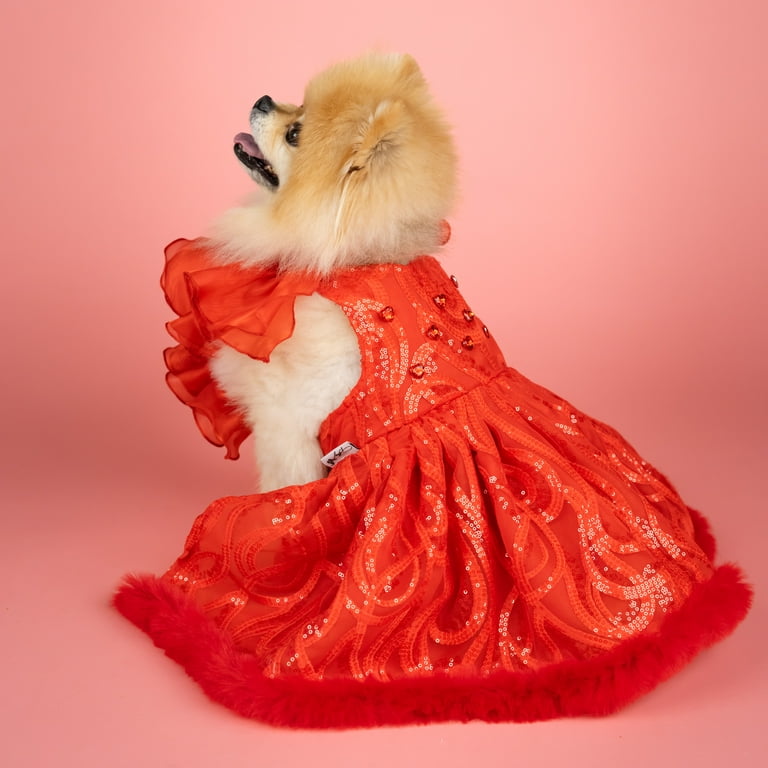 open lace back dress Red Ethnic Dog Frock Dress