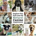 thumbnail image 7 of Wholistic Pet Organics: Multivitamin for Dogs Organic, Homemade Dog Vitamins and Supplements-Dog Multivitamin with Probiotics, Healthy Immune System, Digestive Support (8 Oz, Organic Pumpkin), 7 of 7