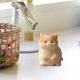 thumbnail image 5 of Juguetes para piscina, juguetes para bebés, peluches de gatitos, peluches grandes de gatitos, peluches divertidos y adorables de gatitos súper suaves, juguetes antiestrés, juguetes sensoriales antiest, 5 of 5