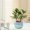 Off-White, variant on YIMWNYI Cream Pumpkin Cactus Planter, Ceramic Flower Vase, Breathable Vertical Planter, Artisanal Gardening Pot, Succulent and Cacti Holder, Stylish Decor Container