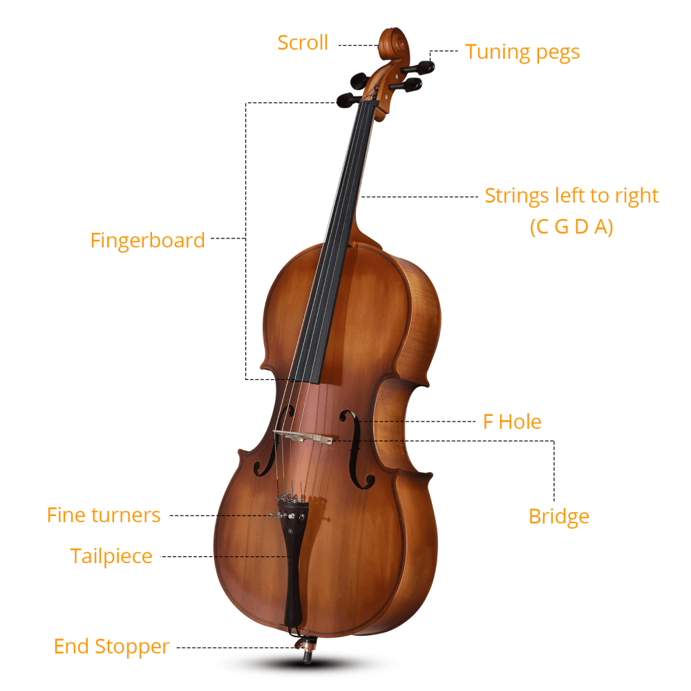 Tcbosik 4/4 Full Size Acoustic Cello with Bag, Bow, Rosin, Bridge and Strings for Beginner, Adult, Matte Natural Color