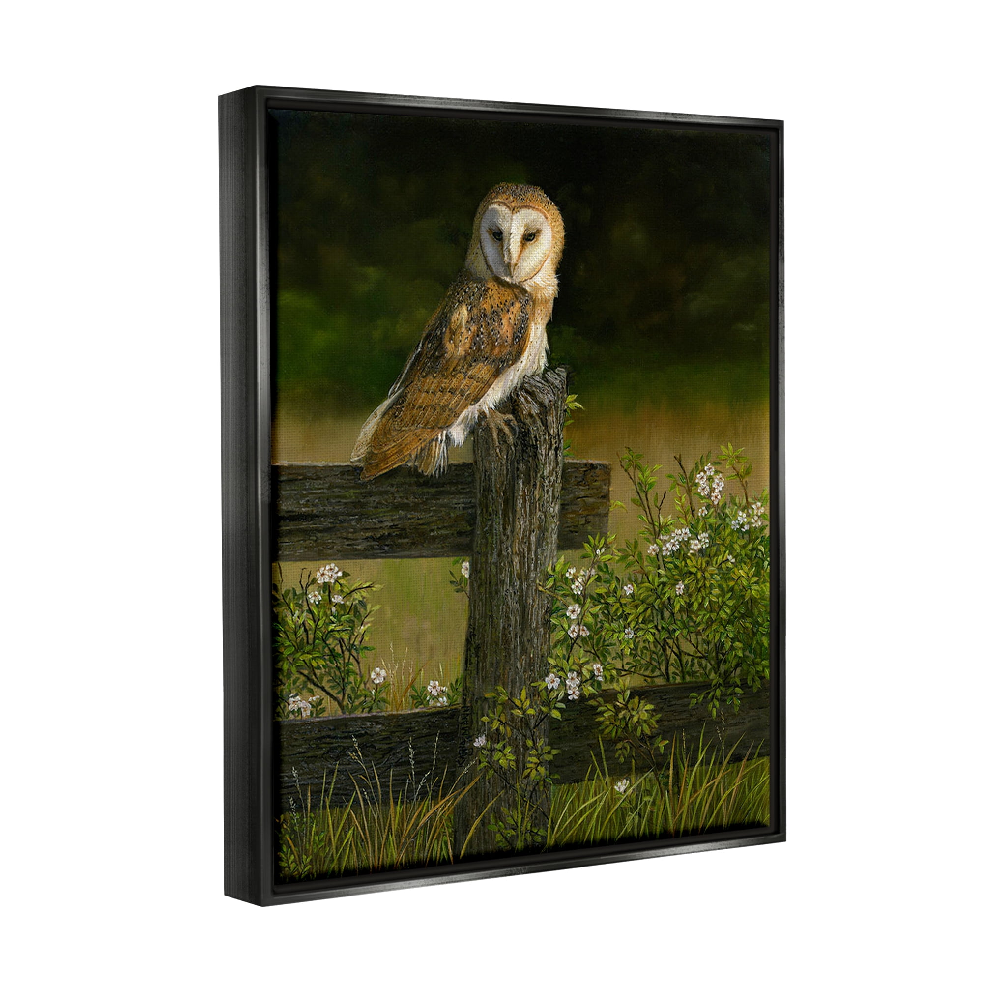 Stupell Industries Barn Owl on Fence Animals & Insects Painting Black Floater Framed Canvas Art Print Wall Art, 25 x 31