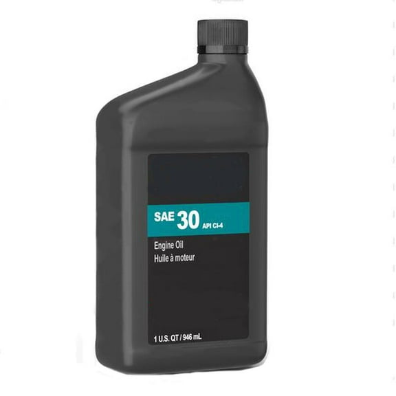 4-Cycle Engine Oil Bottle Fits Agco Replaces 100028
