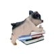 thumbnail image 1 of Cerdo De Resina, Mini Adornos De Cerdito , Escultura De Animales Para La Decoración Del Coche Del Hogar Yuarrent  HA040321-04, 1 of 5
