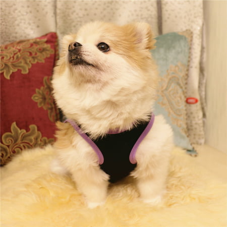 Easter Dog Clothing Cotton Vest Puppy Costume For Small Dog