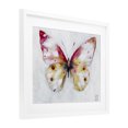 thumbnail image 3 of Stupell Industries Pink & Yellow Butterfly White Framed Print Under Glass design by Sara Culpepper, 17 x 21, 3 of 10