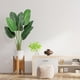 thumbnail image 2 of Yeshouse paquete de 2 plantas artificiales de hojas de plátano con maceta, 122 cm, ideales para decoración de interiores, sala de estar, hogar y oficina, 2 of 8