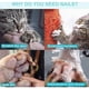 thumbnail image 5 of Cortauñas para perros, gatos y animales pequeños, tijeras para cuidado de uñas para perros y gatos grandes y medianos, cortauñas profesional con seguridad, 5 of 5