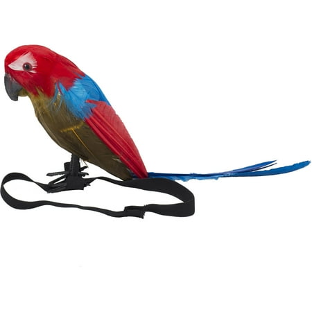 Pirate Parrot - Walmart.com