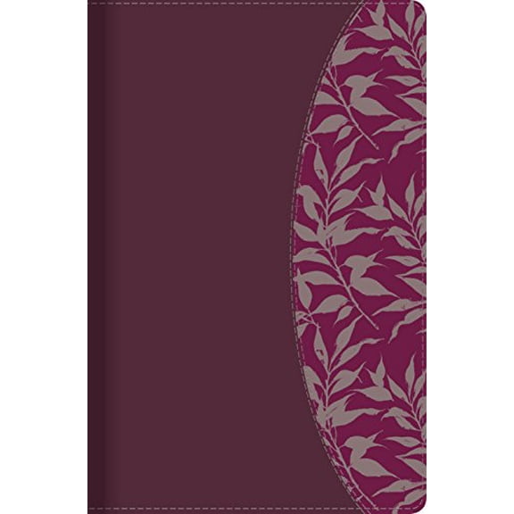 Pre-Owned Biblia Reina Valera 1960 de Estudio para Mujeres. Smil piel, vino tinto-fucsia, con ndice / Women Study Bible RVR 1960. LeatherTouch, Burgundy-Fuschia, Indexed (Spanish Edition), 9781433613