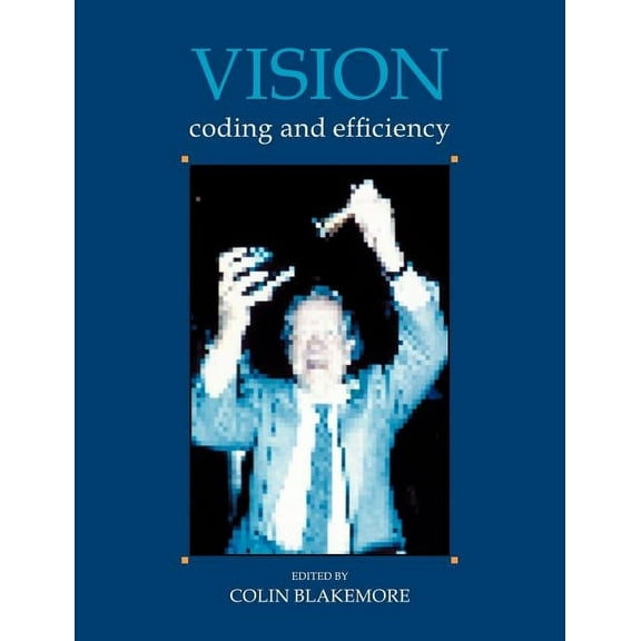 Coding and Efficiency Vision: Coding and Efficiency, (Paperback)