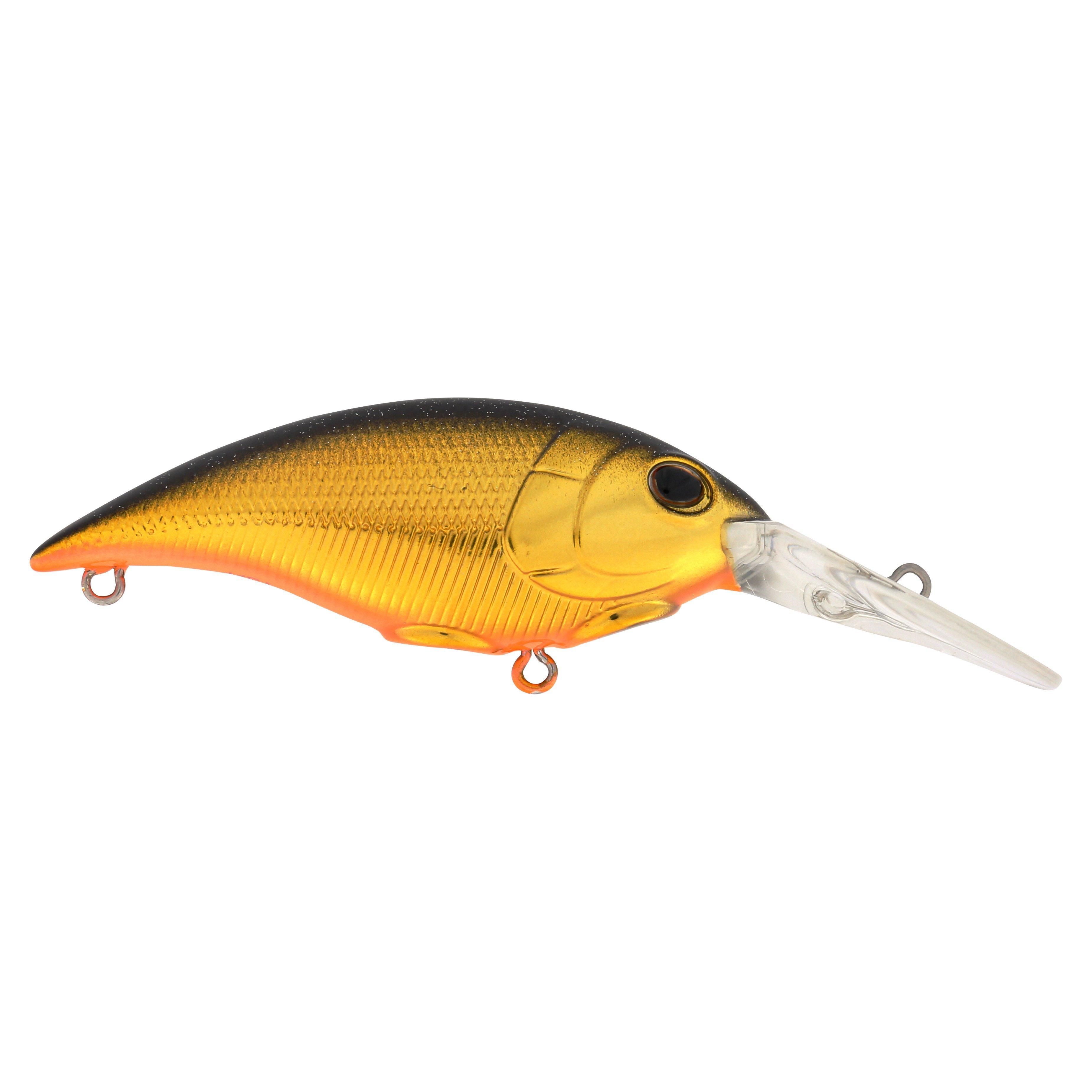 Berkley Money Badger, 5, Black Gold