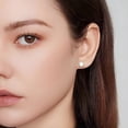 thumbnail image 6 of DESIGNICE 21 Pairs Flatback Stud Earrings, 316L Steel CZ Cartilage Sensitive Ears (Silver), 6 of 7
