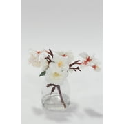 Inspire Me! Home Decor Small Cherry Blossom in Glass Jar (2 Sizes)