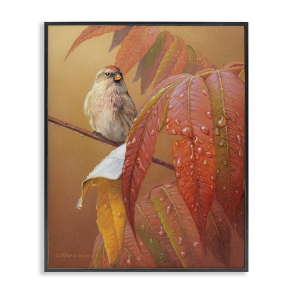 Stupell Industries Transitional Bird on Autumnal Branch Black Framed Giclee Art, 11 x 14, by Derek Wicks