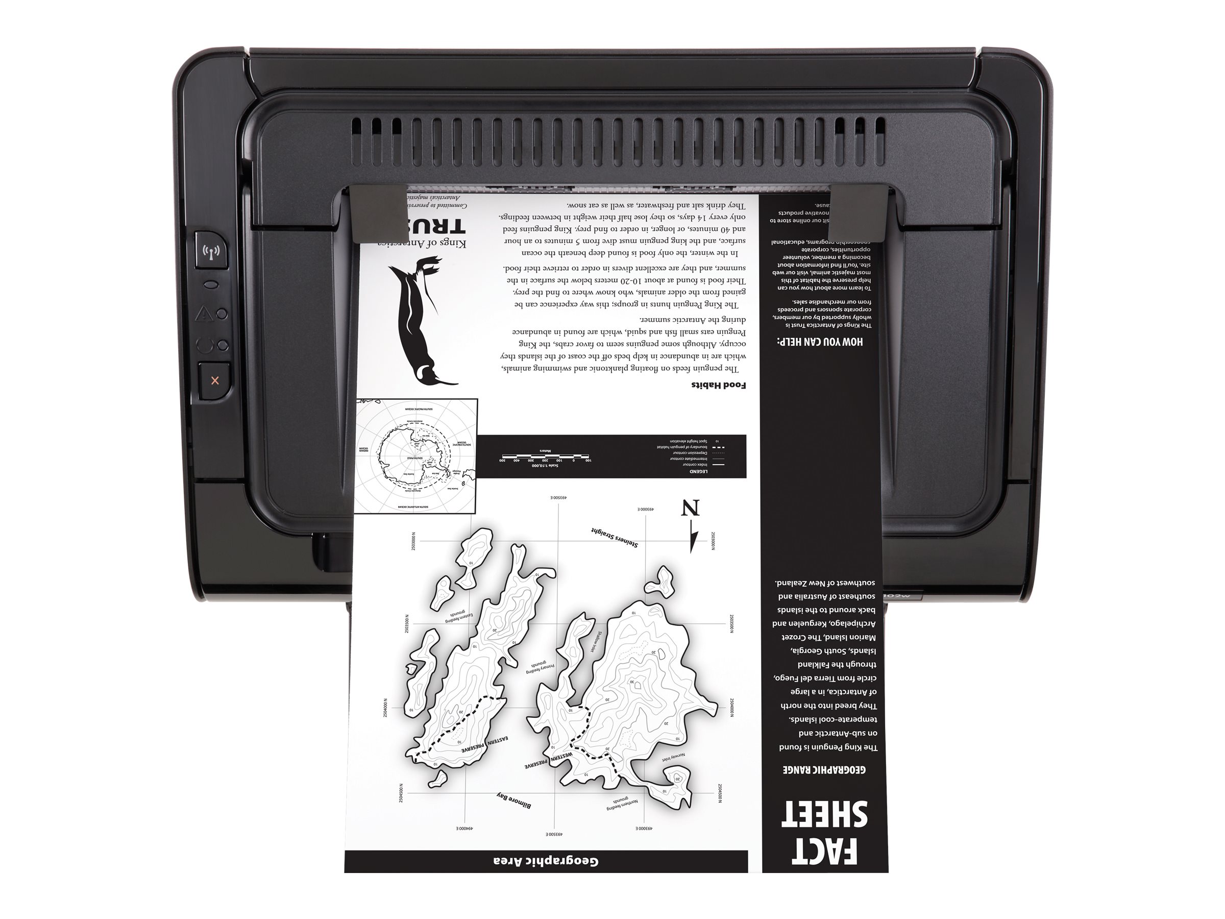 hp laserjet p1102w ink walmart