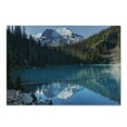 thumbnail image 1 of Landscape Cutting Board, Lake in Northern Canada with Slim Trees and Snowy Frozen Mountain Novelty, Decorative Tempered Glass Cutting and Serving Board, Small Size, Blue White Green, by Ambesonne, 1 of 1