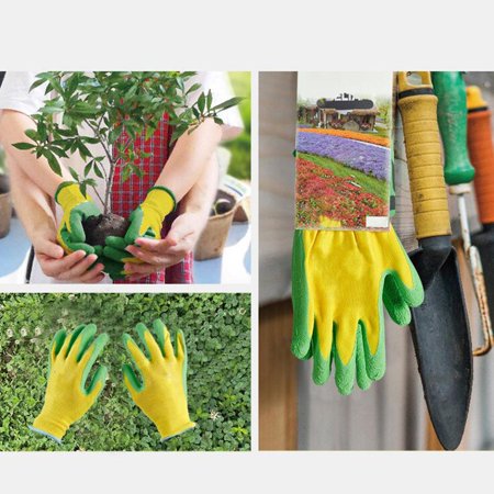 Children Gardening for Outdoor Plng Gardening for 2 to 8 Ages B