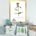 thumbnail image 3 of Designart 'Ancient Insects and Plants II' Farmhouse Framed Art Print, 3 of 4