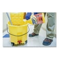 thumbnail image 3 of 1 Gallon Bottle Floor Stripper, 3 of 8