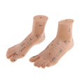 thumbnail image 2 of Pair Of PVC Foot Reflexology Point Model Foot Model Teaching Supply, 2 of 6