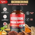 Premium Berberine Supplement with Ceylon, Ashwagandha, Turmeric, Milk