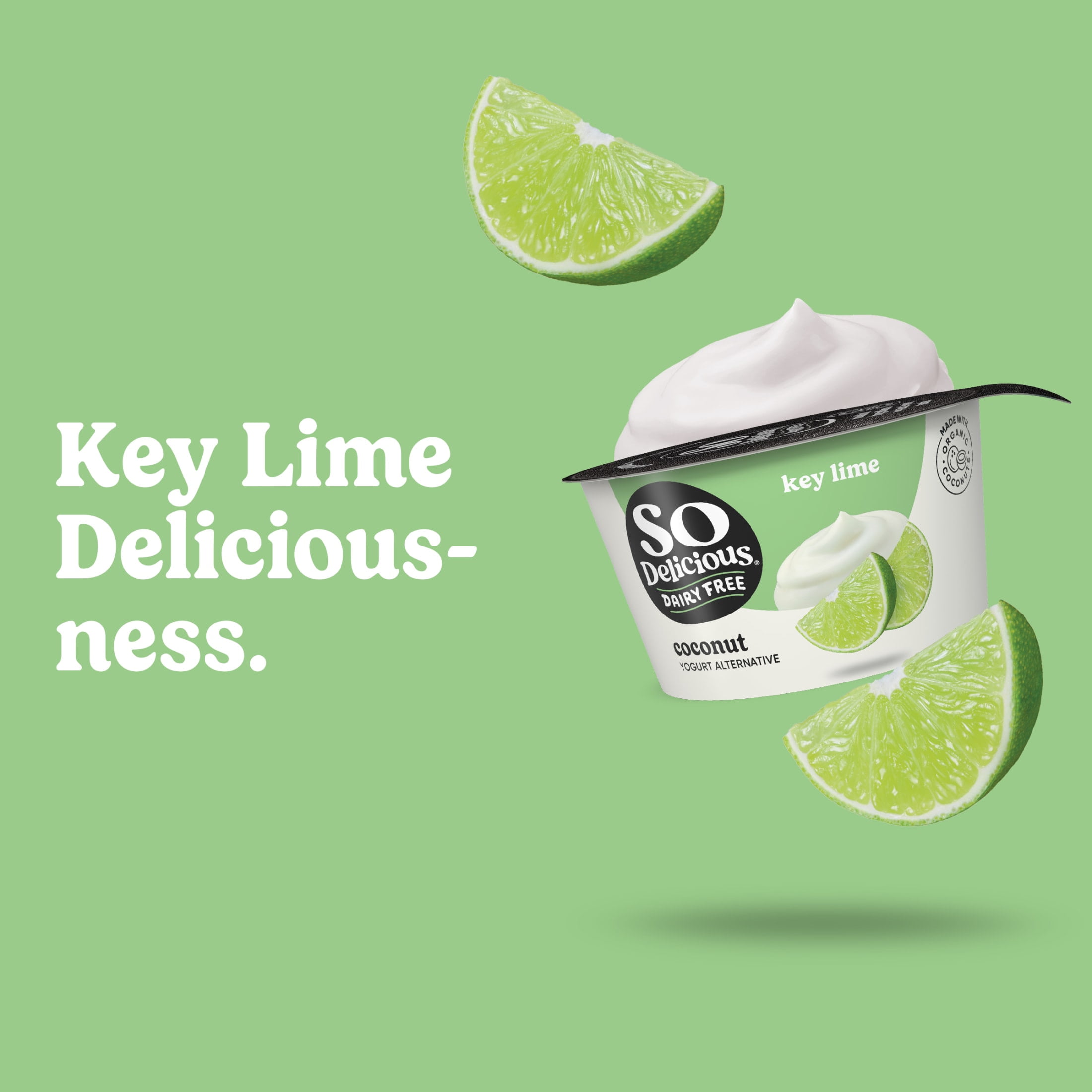 So Delicious Vegan, Dairy Free Key Lime Coconut Yogurt Alternative, 5.3 oz Container