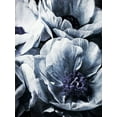thumbnail image 2 of Aldridge, Ashley 25x32 Black Ornate Wood Framed with Double Matting Museum Art Print Titled - Peony Blue Petals II, 2 of 4