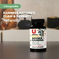 thumbnail image 6 of UMZU Ashwagandha: Stress & Cognitive Support, 6 of 9