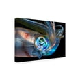 thumbnail image 2 of Barathieu Gabriel 'Eye Of Squid' Canvas Art, 2 of 3
