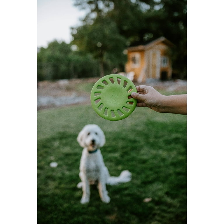 Foam dog frisbee top