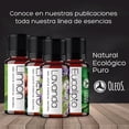 thumbnail image 2 of OLEOS Aceite Esencial de Clavo 10 ml. 100% puro y natural Vida Scents OLEOS_Clavo_10, 2 of 4