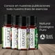 thumbnail image 2 of OLEOS Aceite Esencial de Clavo 10 ml. 100% puro y natural Vida Scents OLEOS_Clavo_10, 2 of 4