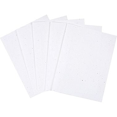 Staples paper stock options