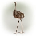 thumbnail image 3 of Alpine Corporation 45" Peaking Ostrich Garden Statue, 3 of 12