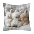 thumbnail image 2 of Spring Cute Pet Patterns Cushion Cover Soft Throw Pillow Cover For Sofa And Chair Ideal Choice For Spring Easter Sofa And Bedroom Decoration, 2 of 6