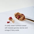 thumbnail image 3 of Nature's Path Organic Breakfast Cereal, Flax Plus Red Berry Crunch, 10.6oz Box, 3 of 6