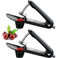 thumbnail image 1 of Cherry Pitter Fruit Olive Core Remover Cherry Stone Remover with Saving Lock, 1 of 4