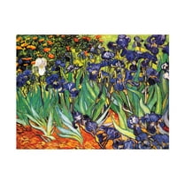 Trademark Fine Art Vincent van Gogh Irises at Saint-Remy Canvas Wall Art - 18x24