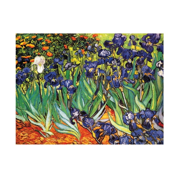 Trademark Fine Art Vincent van Gogh Irises at Saint-Remy Canvas Wall Art - 18x24