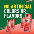 thumbnail image 2 of The True 100% Juice Sparkling Watermelon, 4pack, No Added Sugar, 8.45 fl oz can, 2 of 7