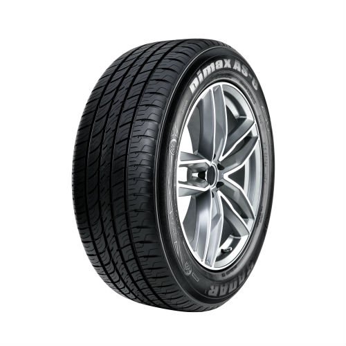 Radar Dimax AS-8 225/65R17 106V Passenger Tire Radar Dimax AS-8 225/65R17 106V Passenger Tire Sansujyuku sansujyuku.com