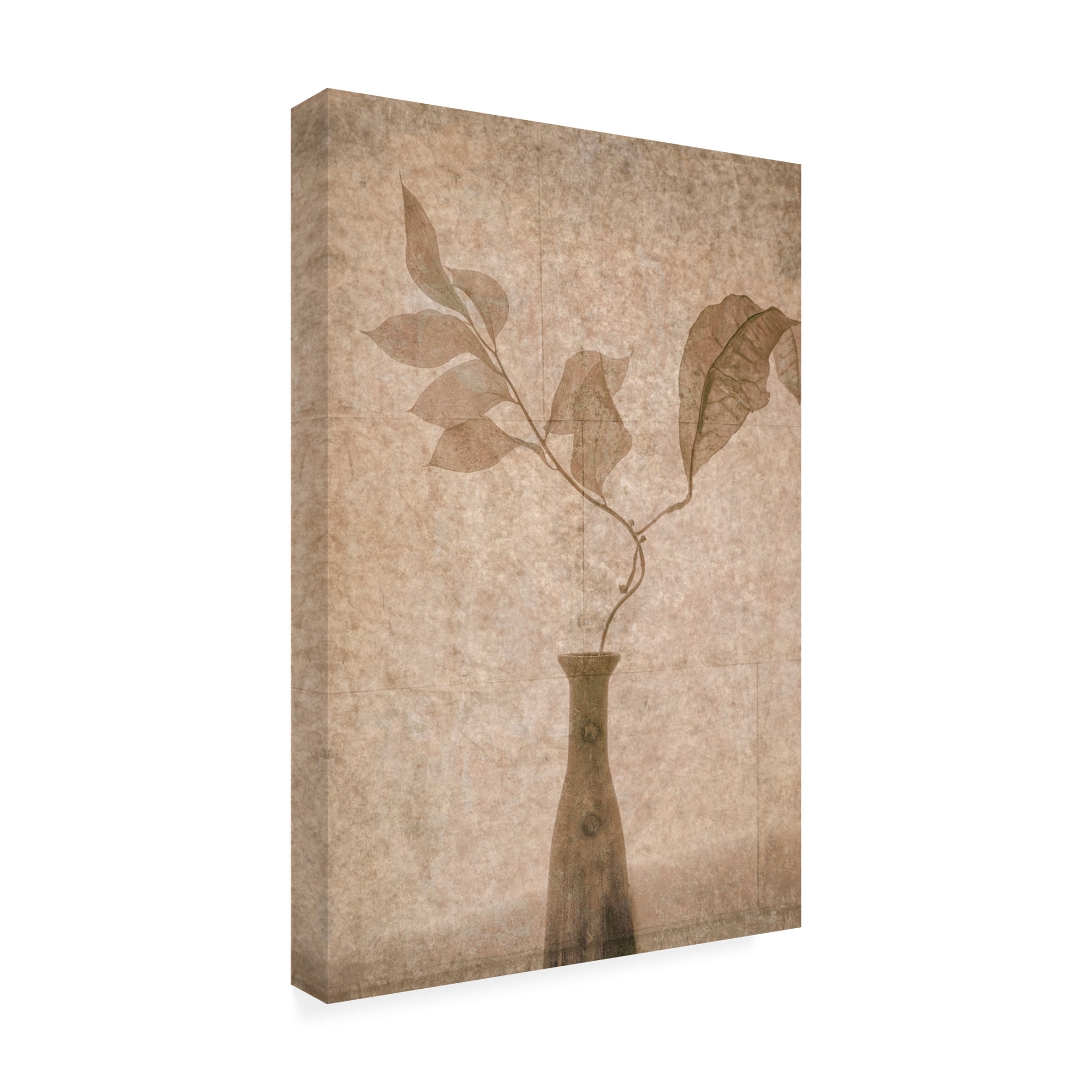 Canvas Wall Art - Igor Tokarev 'Still Life' Wall Art for Living Room, Bedroom, or Office Décor by Trademark Fine Art - 22 x 32 Inches